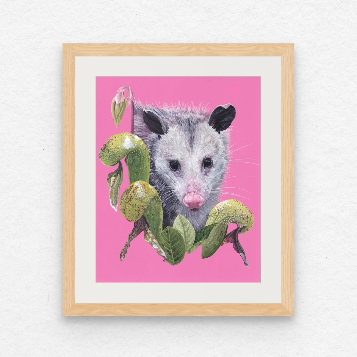 Opossum & Cobra Plant